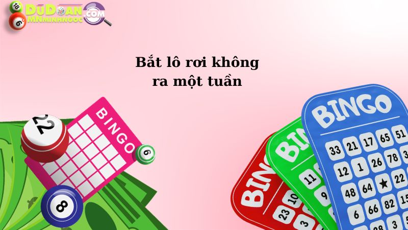 Bắt lô rơi không ra một tuần