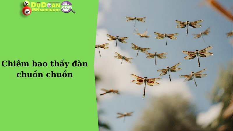 Chiêm bao thấy đàn chuồn chuồn